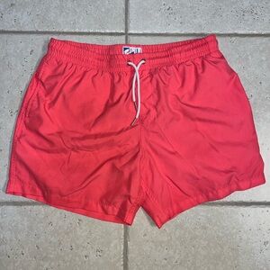 Swim shorts (color changing)